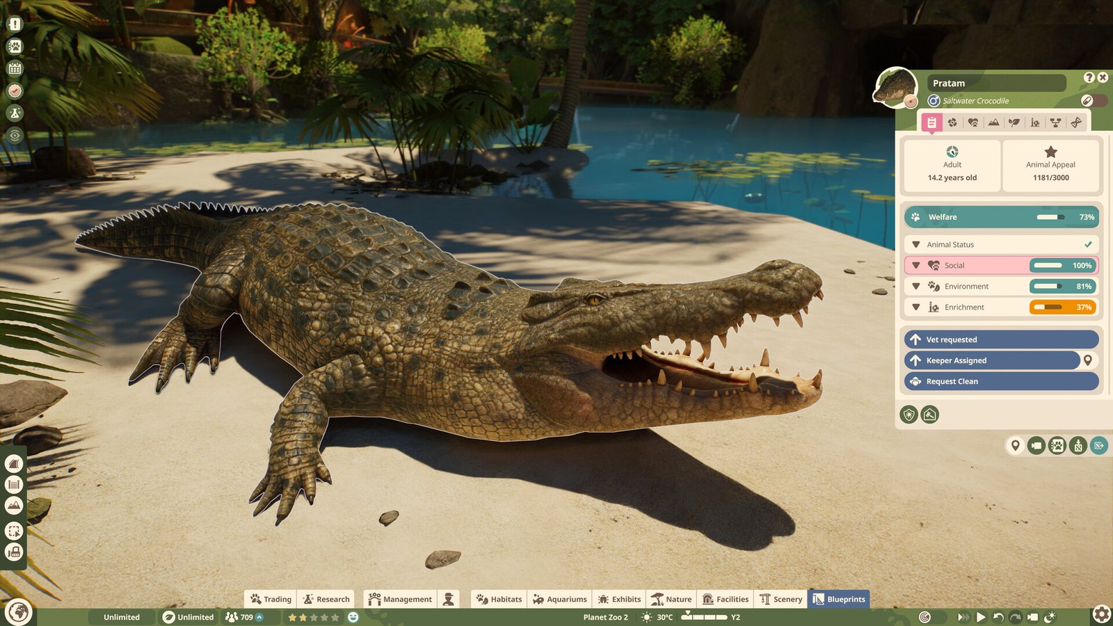 Saltwater crocodile with the animal panel open
